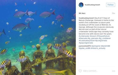 Underwater Sculpture Park, Grenada (Instagram truebluebayresort)