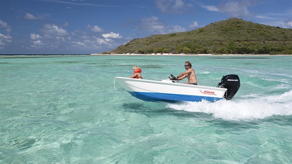 Boston Whaler